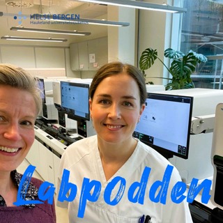 Bak prøvesvaret som avgjer - om å vere bioingeniør
