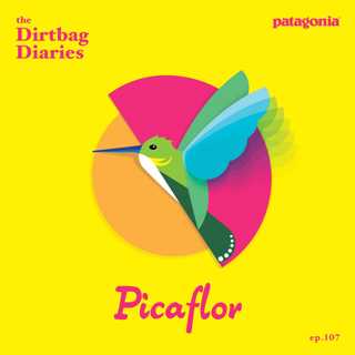 Picaflor