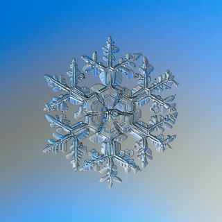 The Snow Show: Making Snowflakes with Peter Veals and Twila Moon