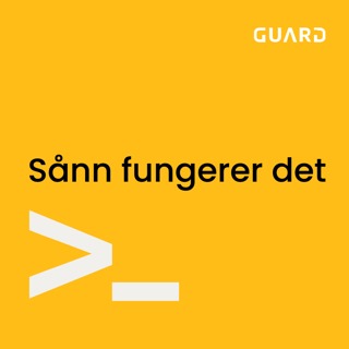 rss-sann-fungerer-det