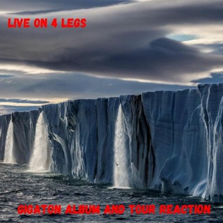 Gigaton Album and Tour Reaction