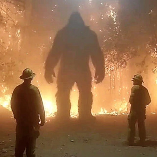 Park Ranger FORCED To ELIMINATE a Creature, What Happened Next SHOCKED Him