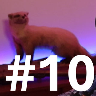 010 Fear and loathing in Arendal - Runkeringen - Norske tilstander - Casper Ruud