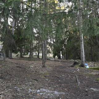 Wararka maanta iyo Sweden