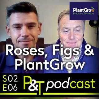 Magnificent Mulch, Rose and Fig Questions & all the Usual Garden Goodness