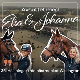 35. Hälsningar från hästmeckat Wellington
