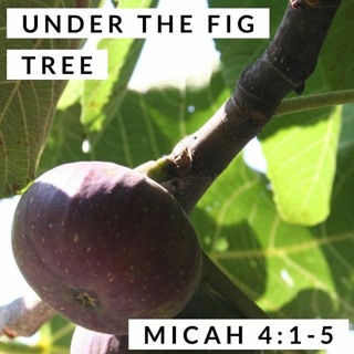 Under the Fig Tree; Micah 4:1-5