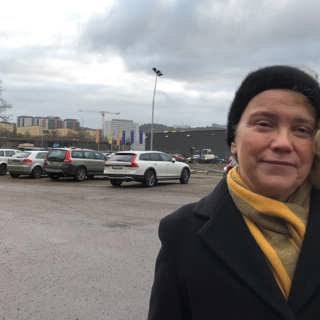 Kvinnorna, lamporna och livet
– Marie Demker
