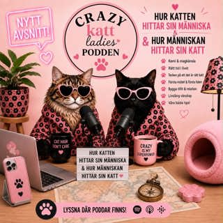 5 Avsnitt Hur katten hittar sin människa och hur människan hittar sin katt