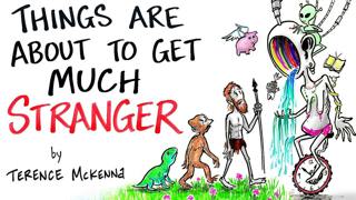 The End of Time - Novelty Theory - Terence McKenna | After Skool
