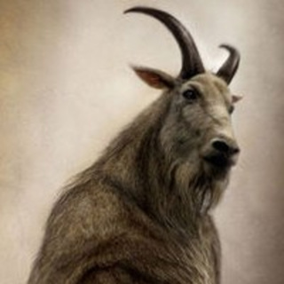 THE GOATMAN