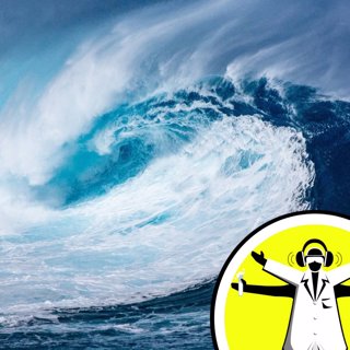 Marine Month: Making Waves