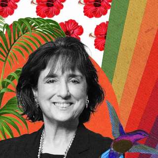 Unlocking the Mystery of Brain Fog with Dr. Roberta Diaz Brinton