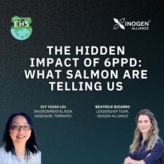 The Hidden Impact of 6PPD: What Salmon Are Telling Us