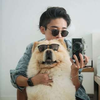 Remastered: How Did NFT Artist Ben Nguyen Get His Dogs' 140,000 Instagram Followers?