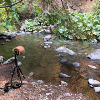 Episode 82: Summer Afternoon Beside Squaw Valley Creek
