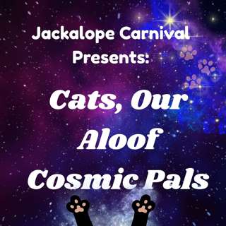 Cats, Our Aloof Cosmic Pals