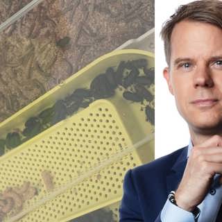 Käka mjölmaskar på roadtrip: Andreas Liljeheden, Bryssel