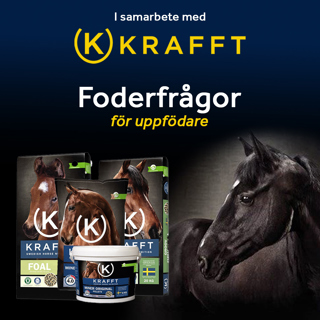 Avsnitt 47. Foderfrågor för uppfödare – i samarbete med Krafft