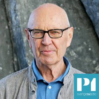 Pierre Schori om konsekvenserna av ett svenskt och finskt Nato-medlemskap: Det ger ett stort övertag åt Putin