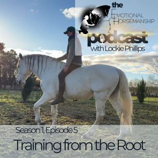 Feels Like Training from the Root