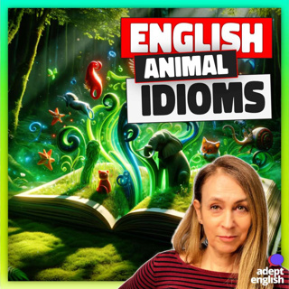 Practice Using Idioms In Real Situations Ep 718