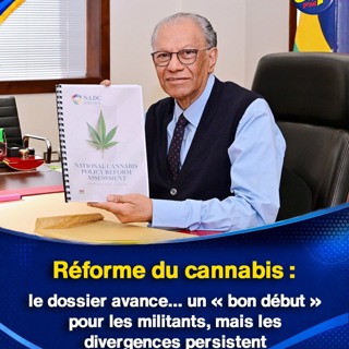 Réforme du cannabis : le dossier avance… un « bon début » pour les militants, mais les divergences persistent