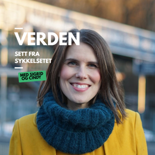 Sjokk og vantro i Oslo Bystyre: 2025 oppsummert med Sirin Stav