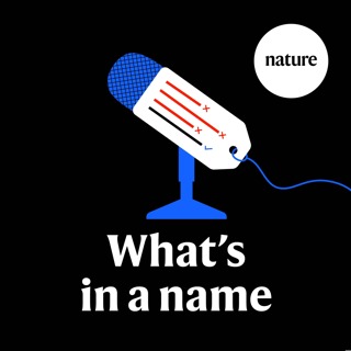 ‘Dark matter’, 'Big Bang' and ‘spin’: how physics terms can confuse researchers