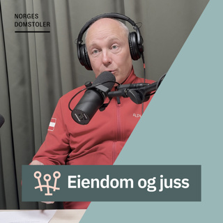 Hevd - Tyveri med loven i hånd?