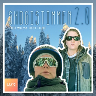 Skogistimmen 2.0 1. Välkommen till skogistimmen
