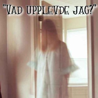 "VAD UPPLEVDE JAG?"