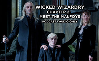 Chapter 2: Meet The Malfoys - Wicked Wizardry