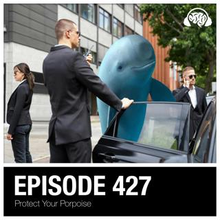 427: Protect Your Porpoise