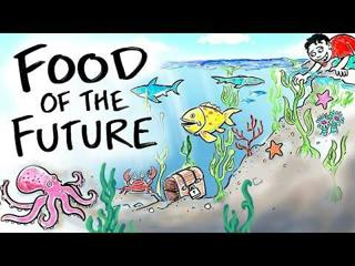 Is Seaweed the Crop of the Future? | After Skool