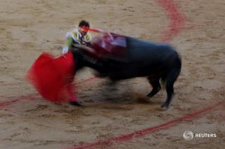 A Russian general's words and photographing with the bulls - plus Putin and Biden on Prigozhin