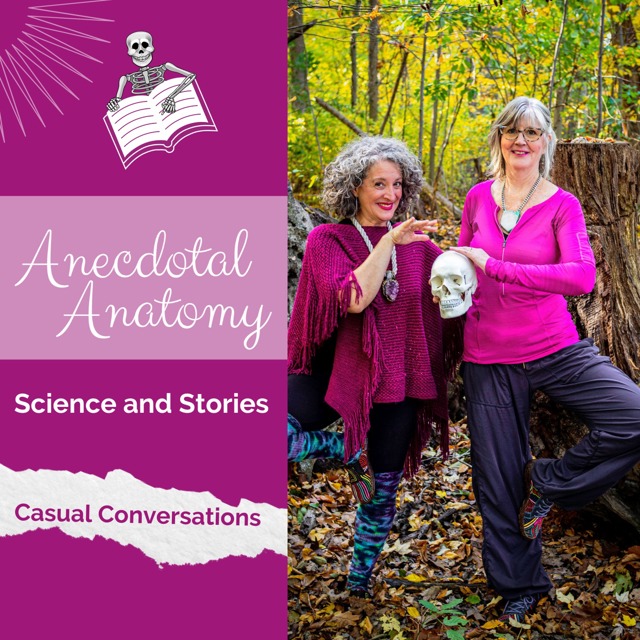 Anecdotal Anatomy