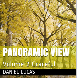 Panoramic View Volume 2 Graceful by Daniel Lucas