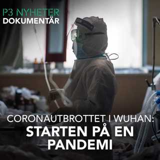 Coronautbrottet i Wuhan – starten på en pandemi – P3 Nyheter Dokumentär