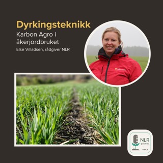 Karbon agro som dyrkingssystem