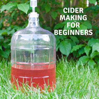 381: DIY Cider Making for Beginners