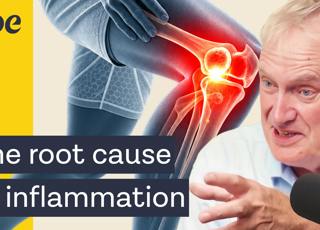 How to eat to lower inflammation - the top 5 foods to boost energy, stop pain, and to live longer | Prof Luke O’Neill