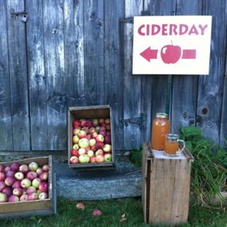 046: Going to CiderDays | Insider Tips, Massachusetts
