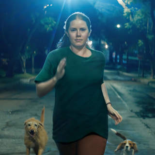 Nightbitch And What's Making Us Happy