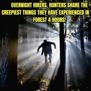 Overnight Hikers, Hunters Share The Creepiest Things They Have Experienced In The Forest 4 Hours!