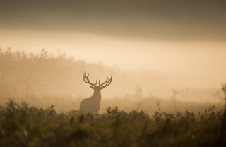 Ep. 166 Hunting Skills & Ethics