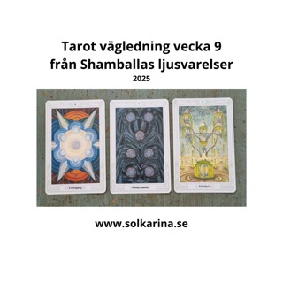 54: Vägledning från ljusvarelserna med tarotkorten