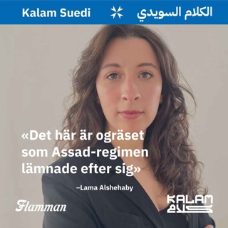 Kalam Suedi 2: Assads ogräs med Lama Alshehaby (Teaser)