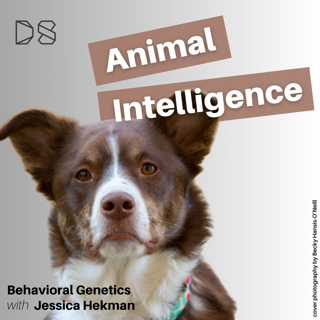 Behavioral Genetics