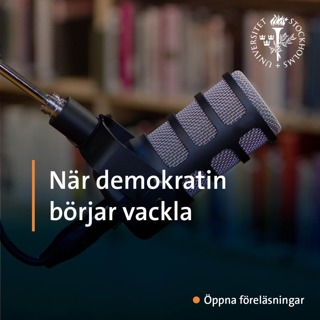 När demokratin börjar vackla